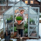 Теплица в феврале: 7 шагов к раннему урожаю