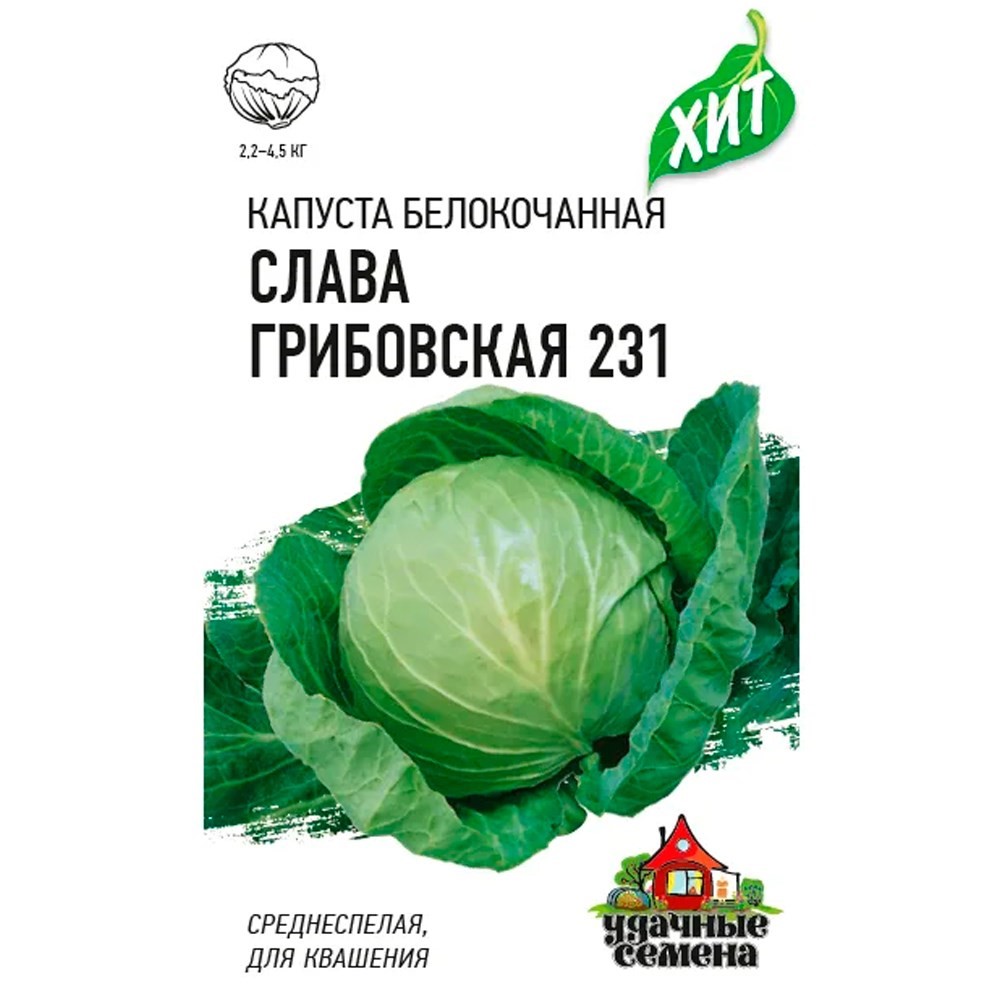 Капуста Б/К Слава Грибовская 231 0,5г ХИТ купить в Пензе цена 14  руб.|Зеленый дом