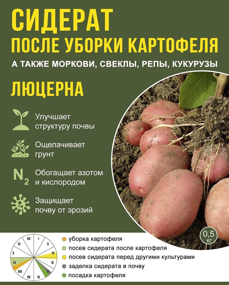 Сидерат Люцерна 0,5кг после уборки картофеля купить в Пензе цена 304  руб.|Зеленый дом