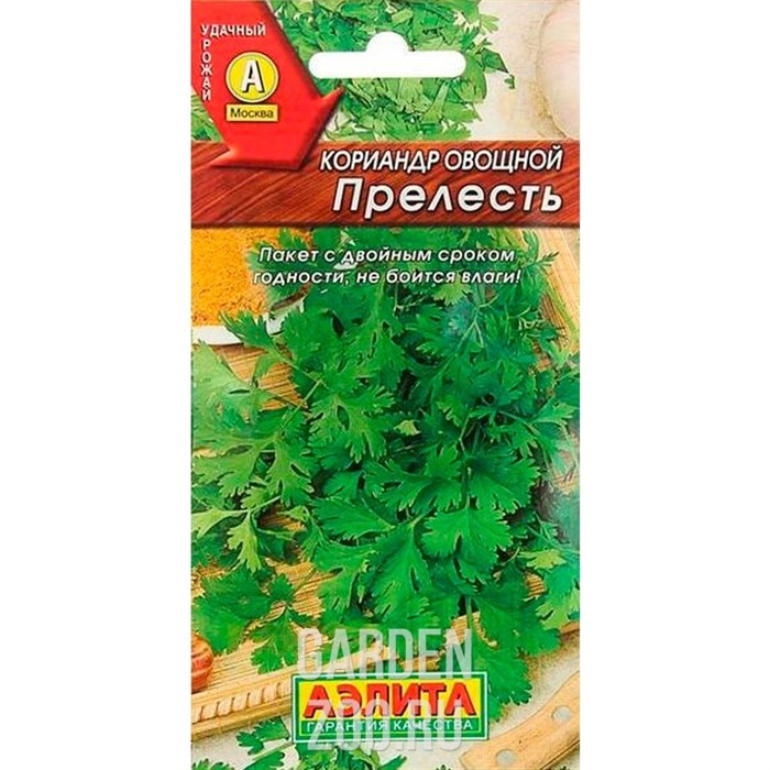 Кориандр Прелесть - фото 11934