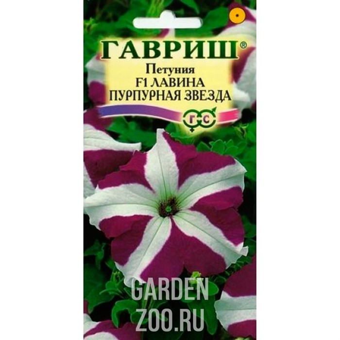 Петуния ампельная Лавина Пурпурная Звезда 7шт - фото 12417