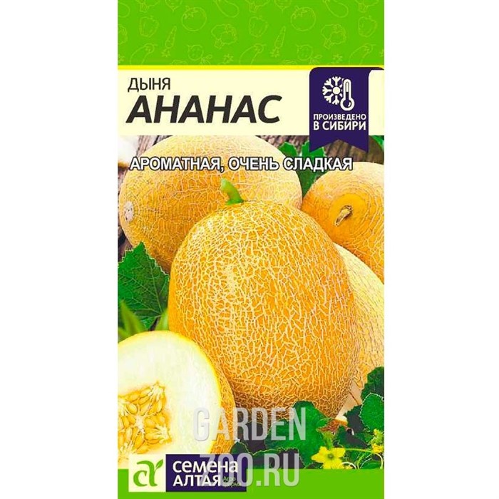 Дыня Ананас 1гр - фото 12856