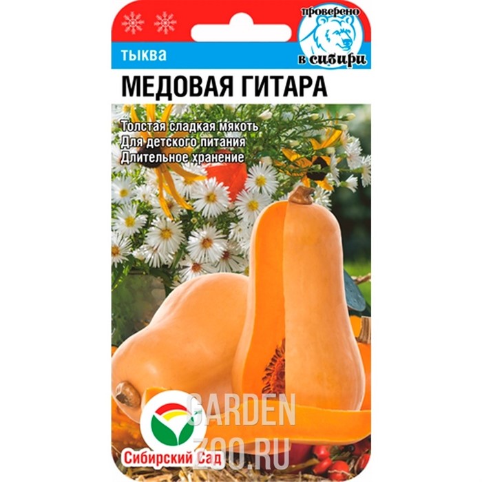 Тыква Медовая гитара 5шт - фото 13710