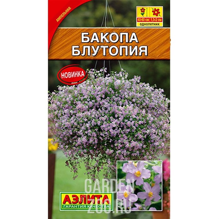 Бакопа Блутопия - фото 16814