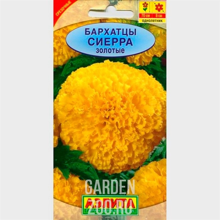 Бархатцы Сиерра золотые - фото 16820