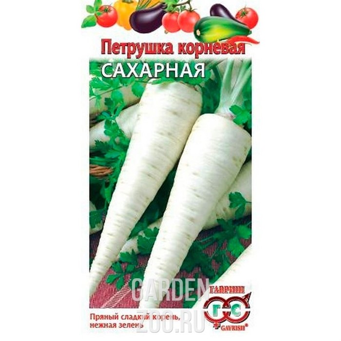 Петрушка корневая Сахарная 2г - фото 17199