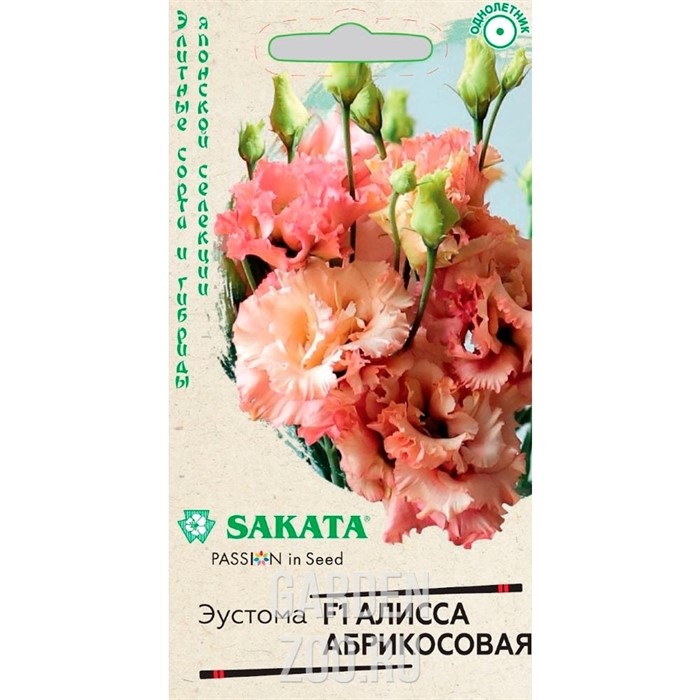 Эустома Алисса абрикосовая 4шт - фото 17332