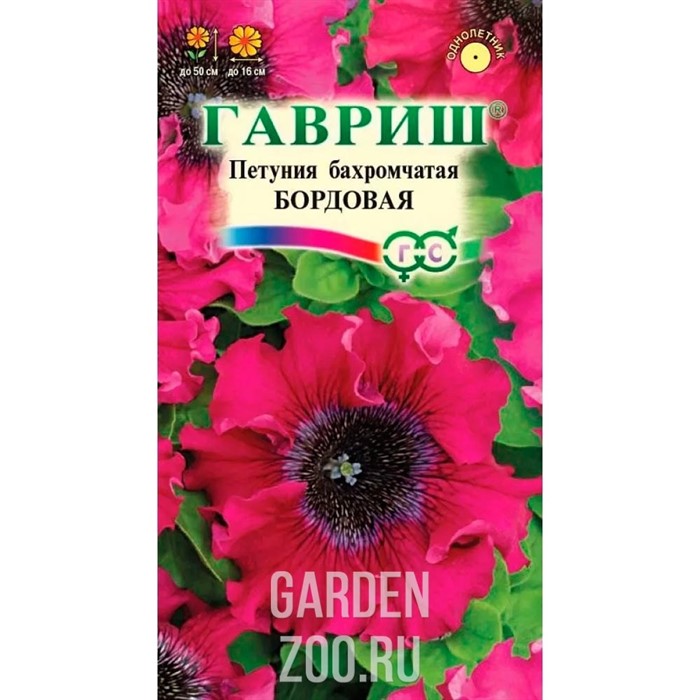 Петуния Бордовая 7шт - фото 22237