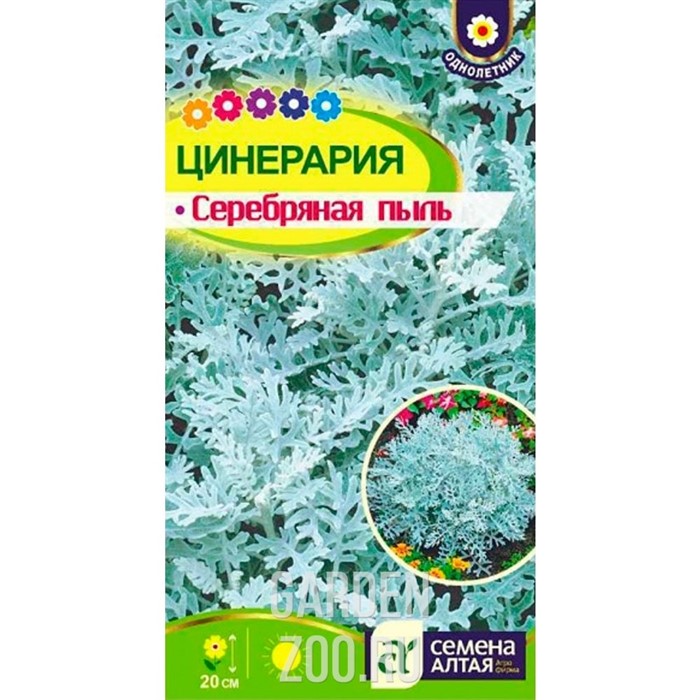 Цинерария Серебряная пыль 0,1гр - фото 22750