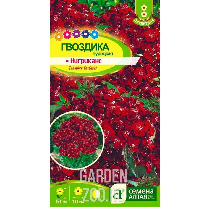 Гвоздика Нигриканс 0,1гр - фото 22752