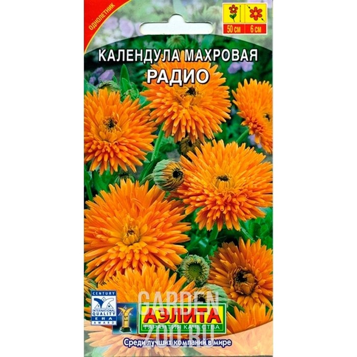 Календула Радио - фото 24666