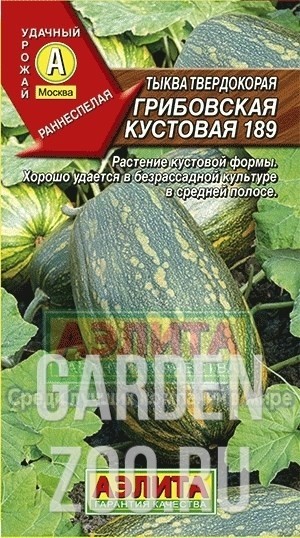 Тыква Грибовская кустовая 189 - фото 30676