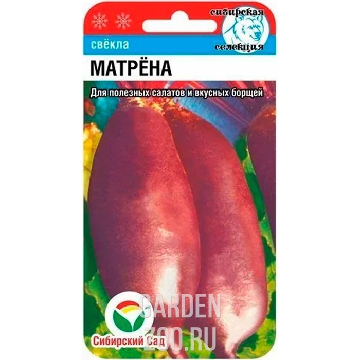 Свёкла Матрена 2 гр - фото 31659