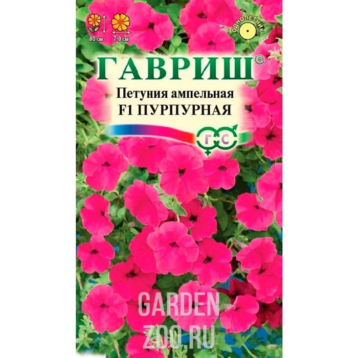 Петуния Пурпурная 7шт - фото 34071