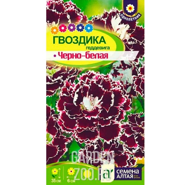 Гвоздика Черно-белая геддевига 0,04гр - фото 37085