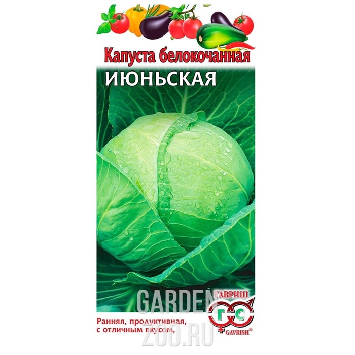 Капуста Б/К Июньская 0,5г - фото 37273
