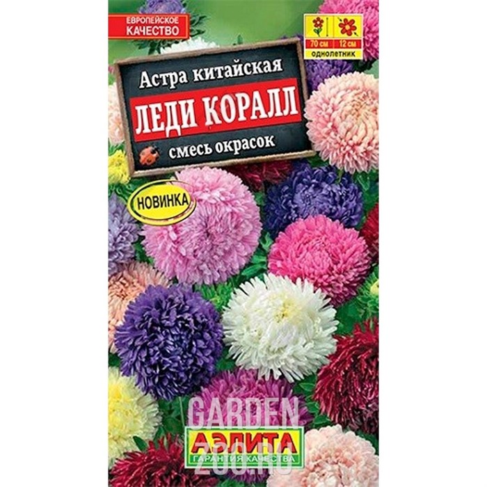 Астра Леди Коралл смесь - фото 37800