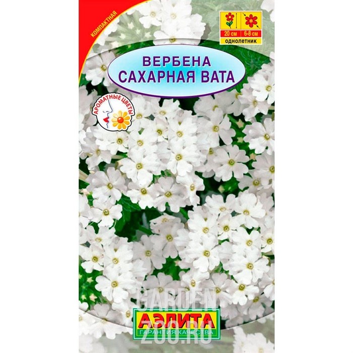 Вербена Сахарная вата - фото 37973