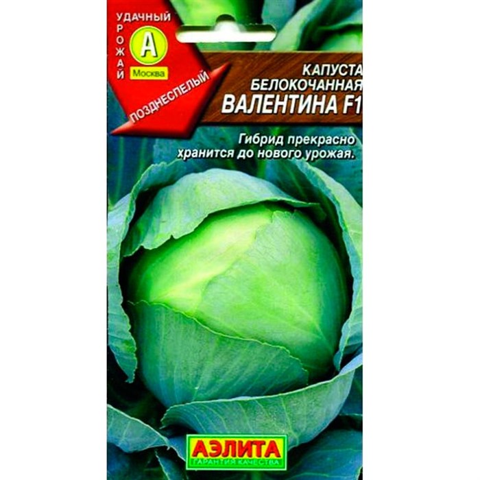 Капуста б/к Валентина F1 - фото 46305