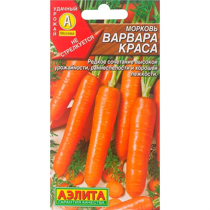 Морковь Варвара краса - фото 53304