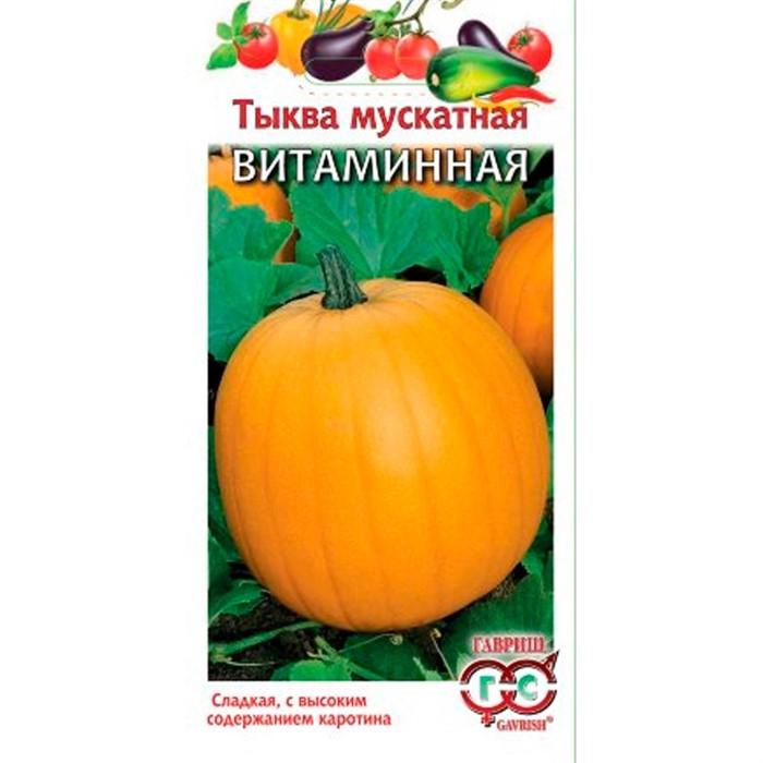 Тыква Витаминная 2г - фото 56447