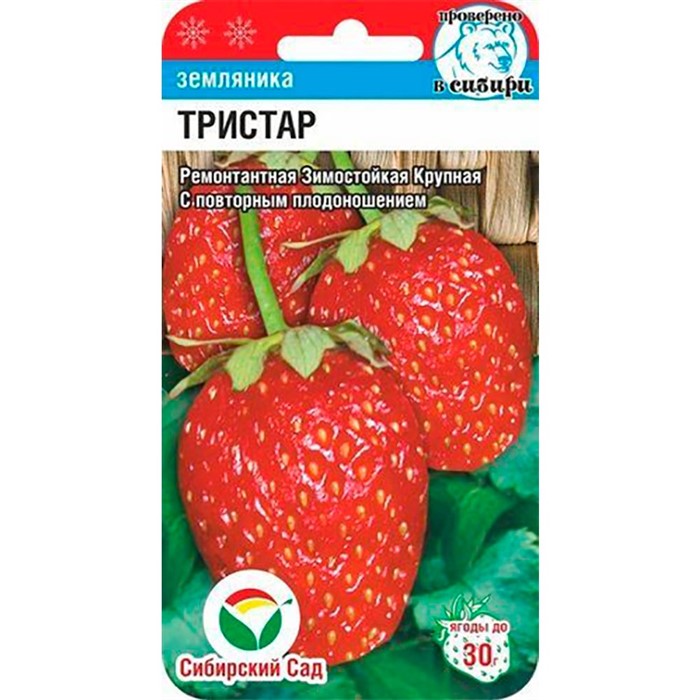 Земляника Тристар 10шт - фото 56455