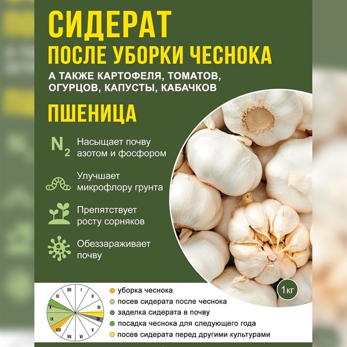 Сидерат Пшеница 1кг - фото 57846