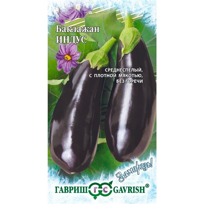 Баклажан Индус 0,1г - фото 58171