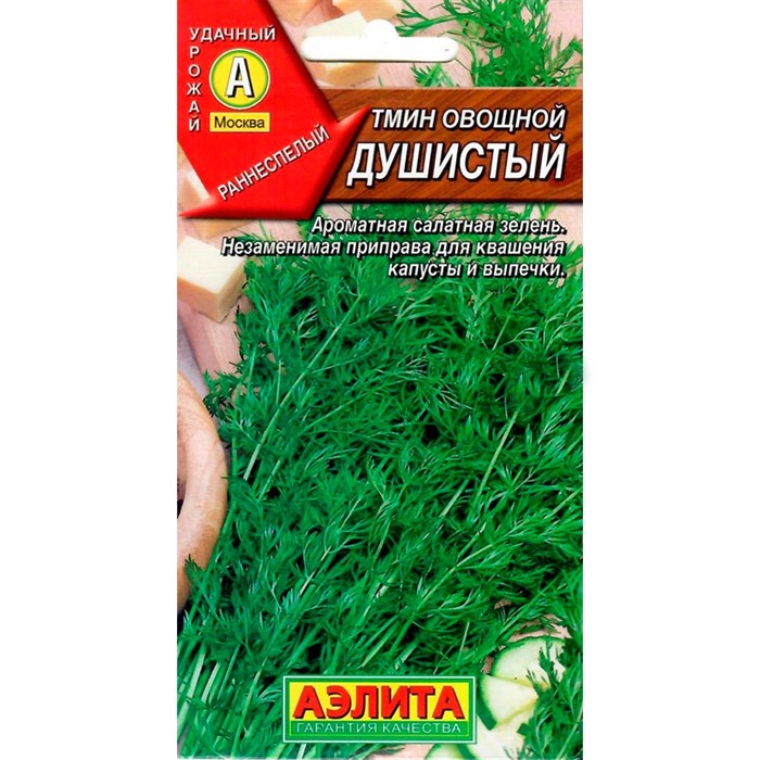 Тмин Душистый - фото 59419