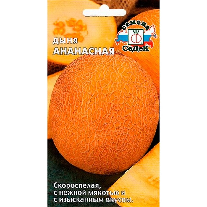 Дыня Ананасная 0,5гр - фото 59511