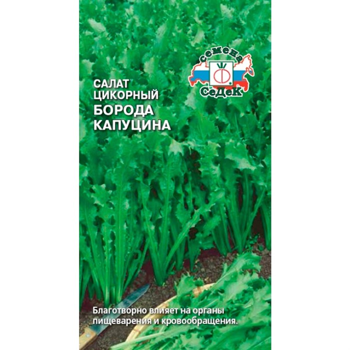 Салат цикорный Борода Капуцина 0,5гр - фото 59713