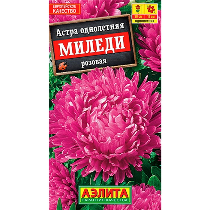 Астра Миледи розовая - фото 60165