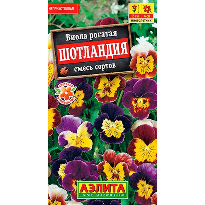 Виола Шотландия смесь - фото 60188