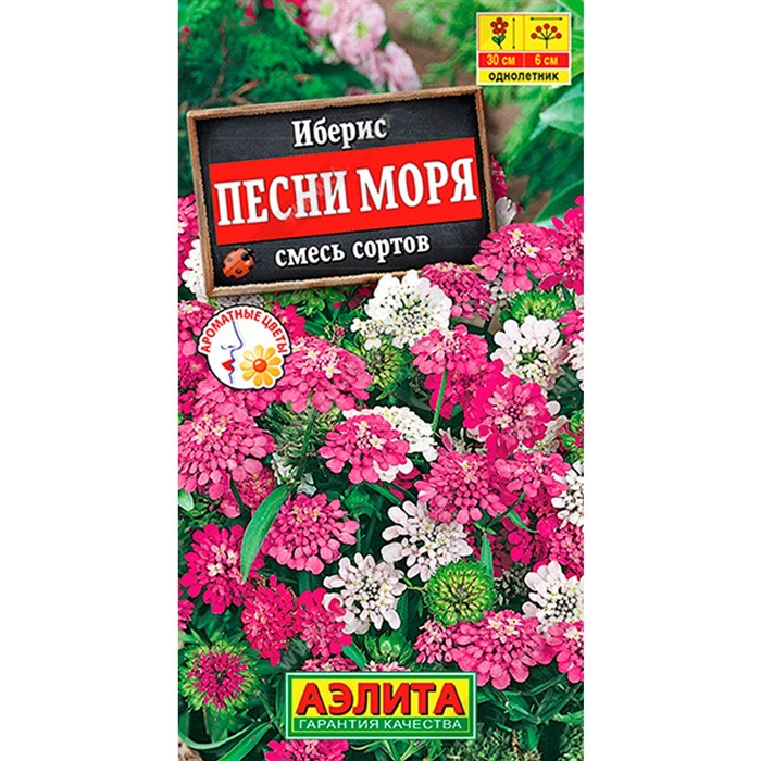 Иберис Песни моря - фото 60324