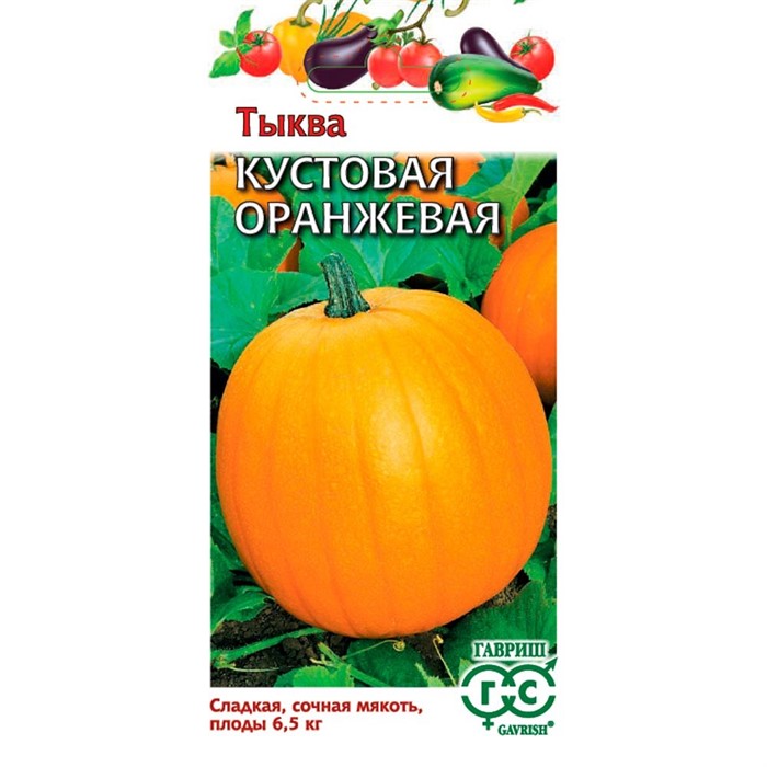 Тыква Кустовая оранжевая 1,0г - фото 64061