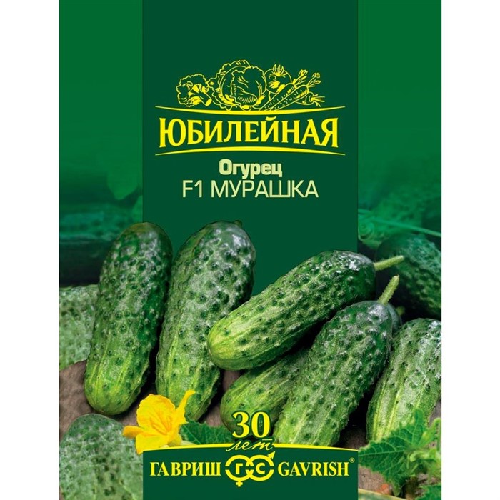 Огурец Мурашка 25шт - фото 64928