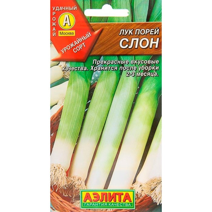 Лук порей Слон - фото 65307