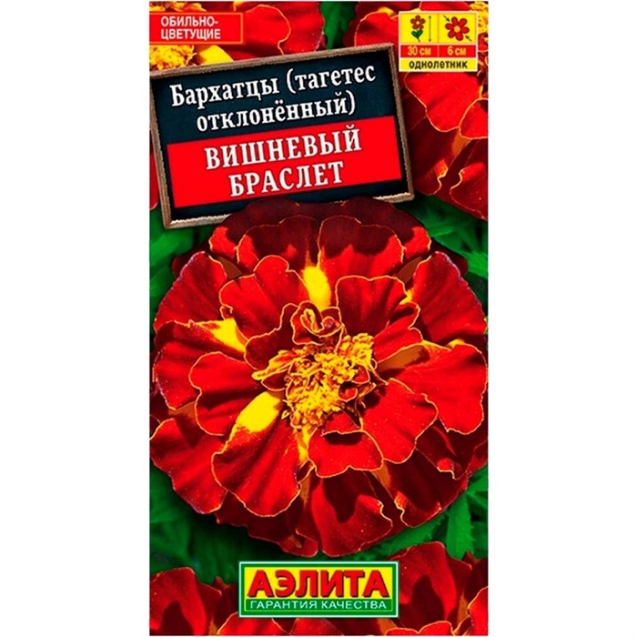 Бархатцы Вишневый браслет - фото 65841
