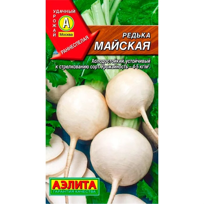 Редька Майская - фото 67068