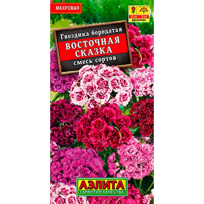 Гвоздика турецкая Восточная сказка - фото 67250
