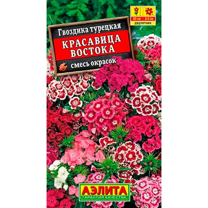 Гвоздика турецкая Красавица востока - фото 67251