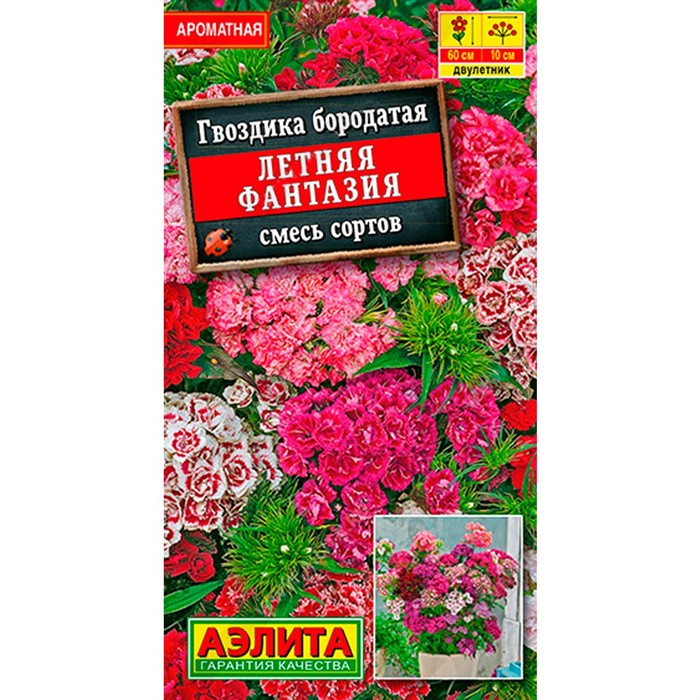 Гвоздика турецкая Летняя фантазия смесь - фото 67252