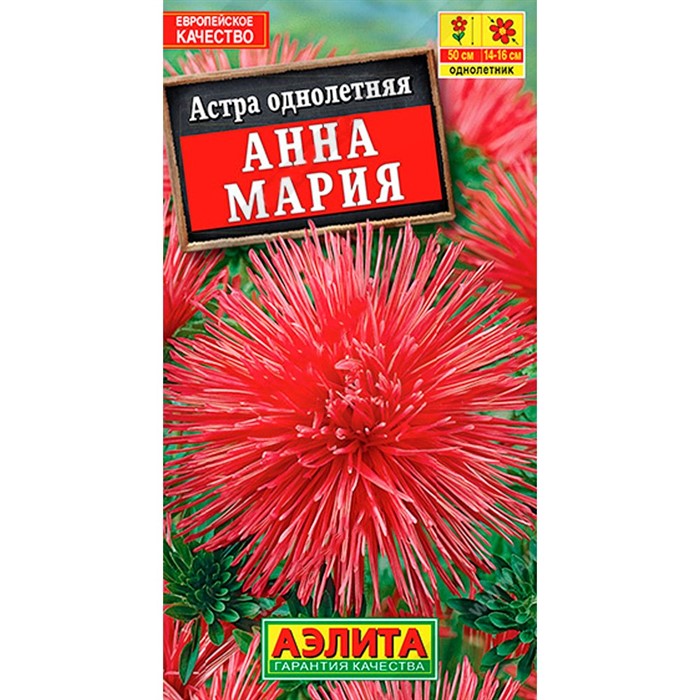 Астра Анна Мария - фото 67305