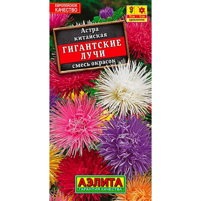 Астра Гигантские лучи смесь - фото 67308