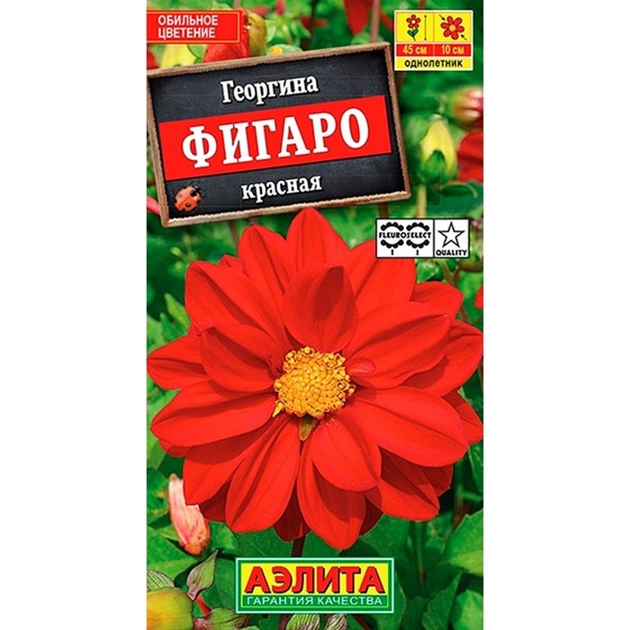 Георгина Фигаро красная - фото 67334