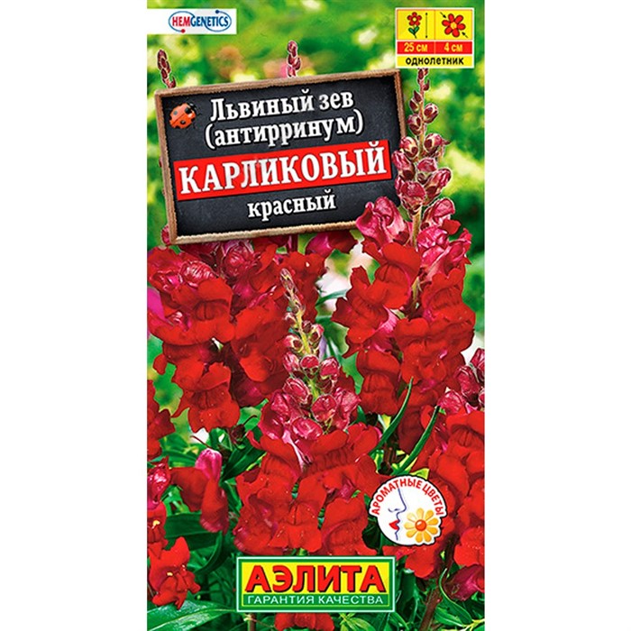 Львиный зев карликовый красный - фото 67341