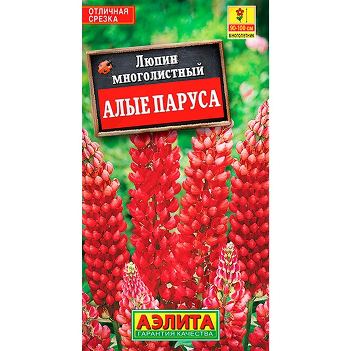Люпин Алые паруса - фото 67368