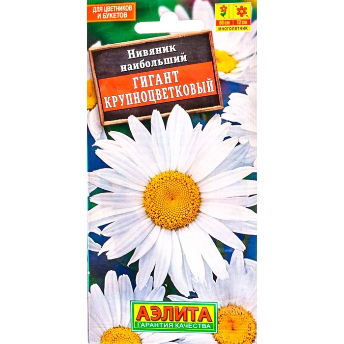 Нивяник Гигант - фото 67372