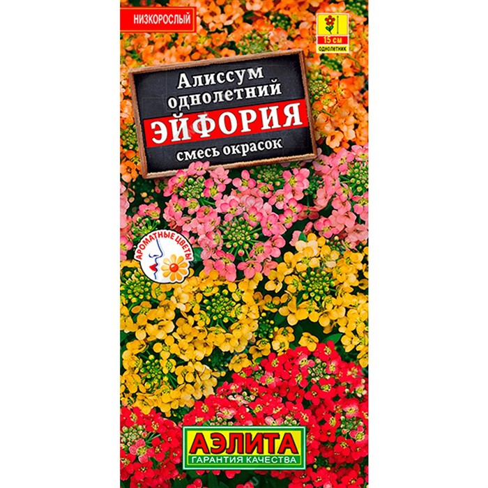 Алиссум Эйфория смесь - фото 67395