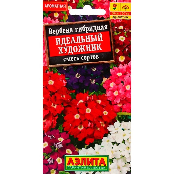 Вербена Идеальный Художник - фото 67401